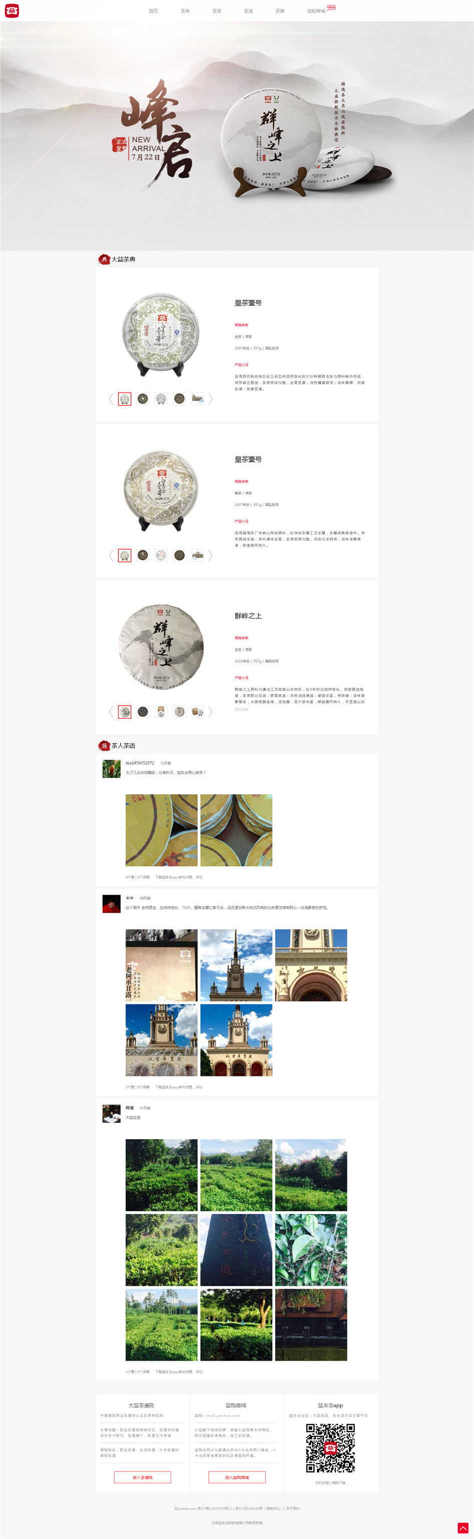 大益官網設計欣賞03
