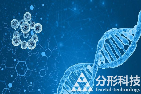 醫院網站建設：一站式醫療服務關愛您的每一天